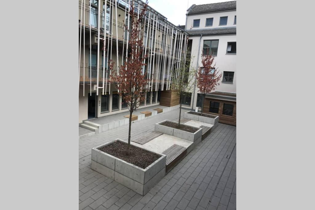 Central, Modern, Mit Grossem Balkon Checkin123 Wiesbaden Eksteriør bilde